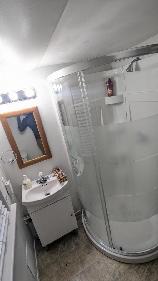 Cozy Downtown One Bedroom Free Parking Κίνγκστον Εξωτερικό φωτογραφία