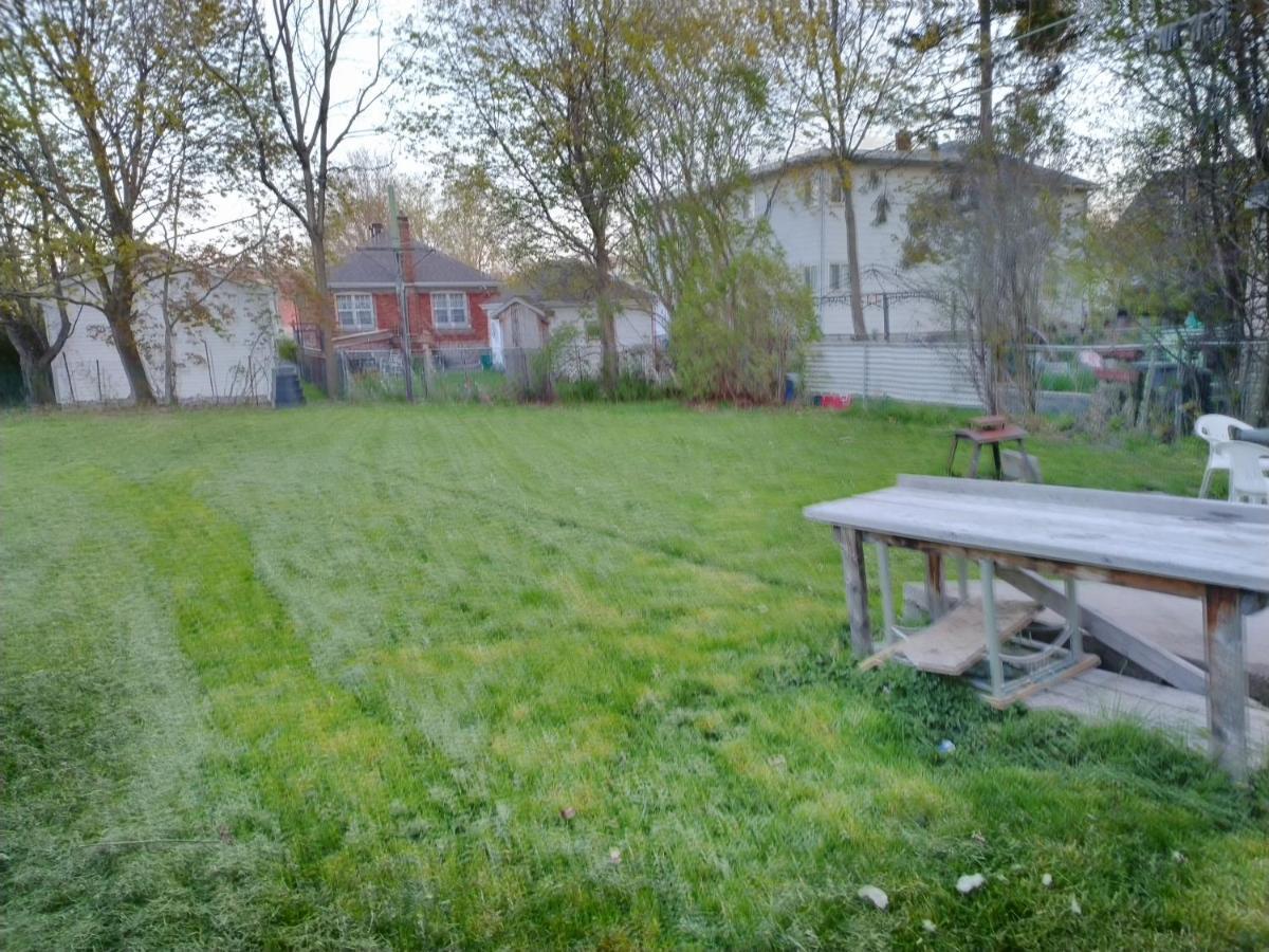 Cozy Downtown One Bedroom Free Parking Κίνγκστον Εξωτερικό φωτογραφία