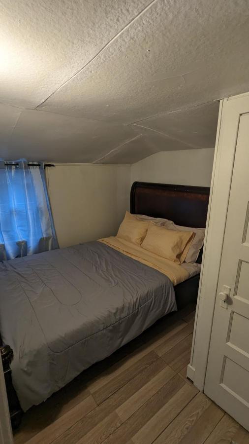 Cozy Downtown One Bedroom Free Parking Κίνγκστον Εξωτερικό φωτογραφία