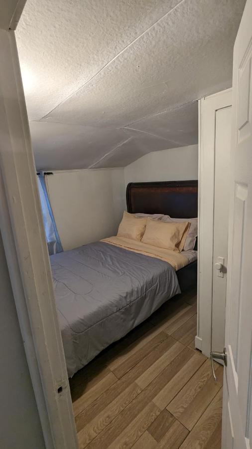 Cozy Downtown One Bedroom Free Parking Κίνγκστον Εξωτερικό φωτογραφία